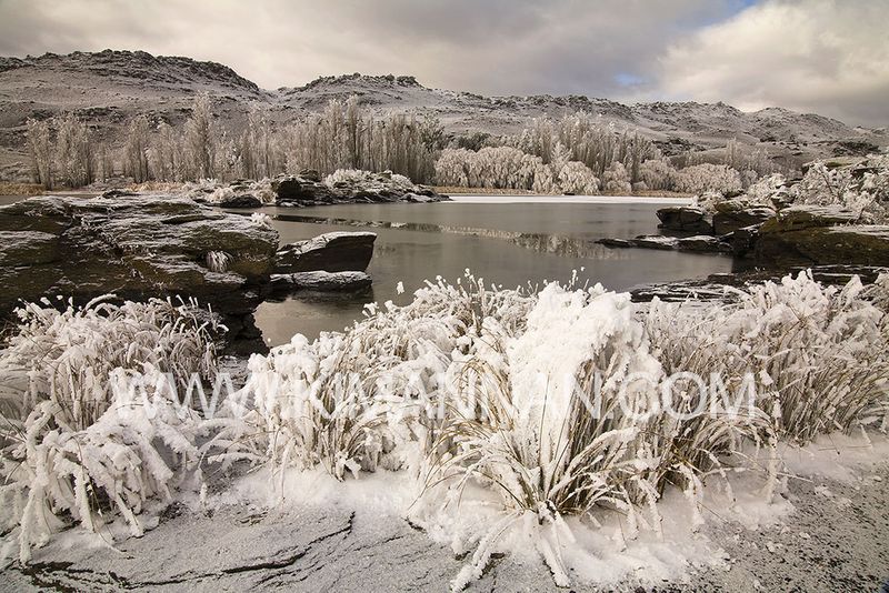 Frozen Lake at Butchers Dam – Central Otago Winter Scene