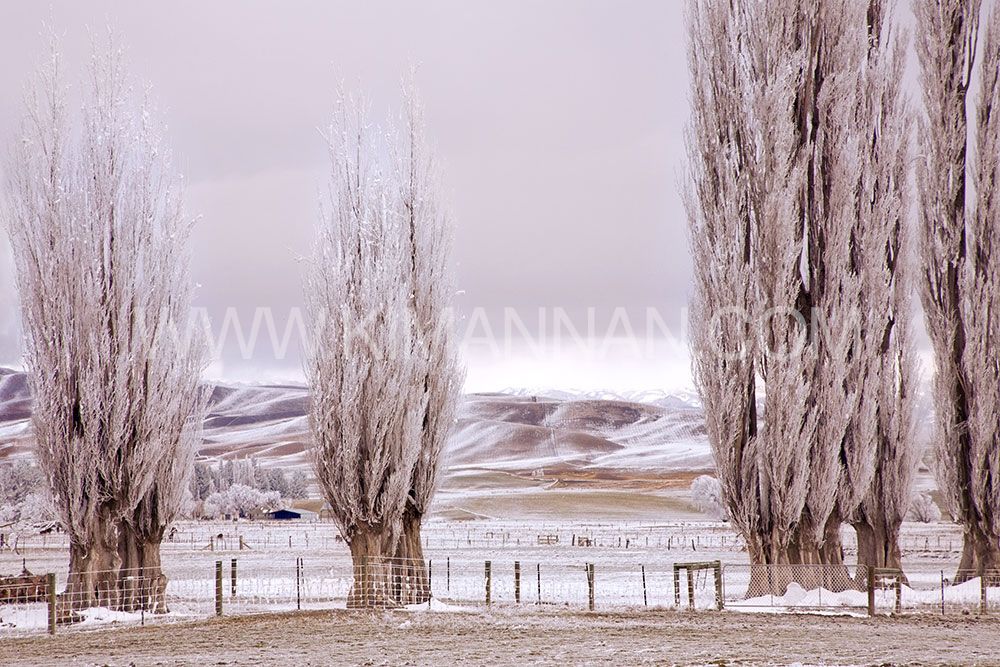 Frozen Lake at Butchers Dam – Central Otago Winter Scene
