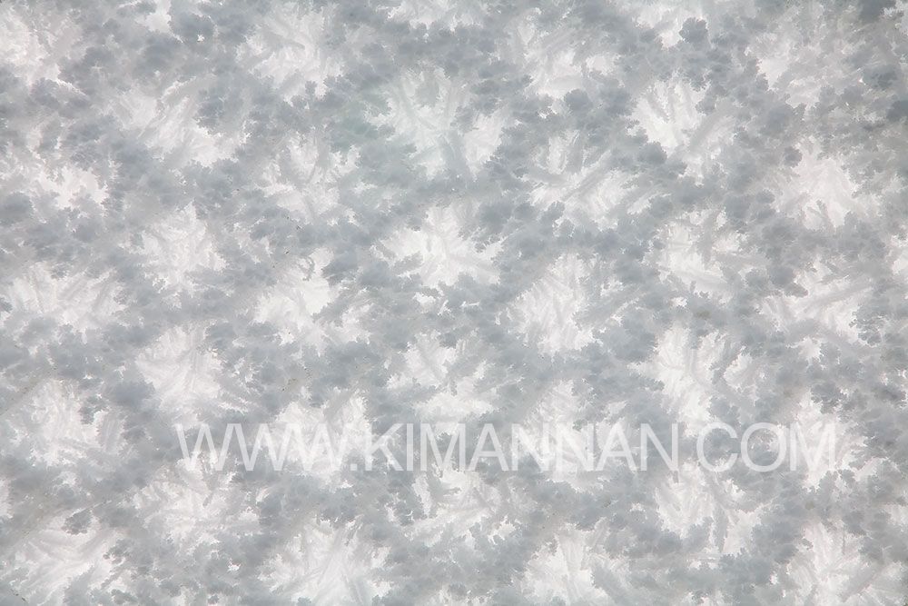 Hoar Frost on Chain Link Fence – Central Otago