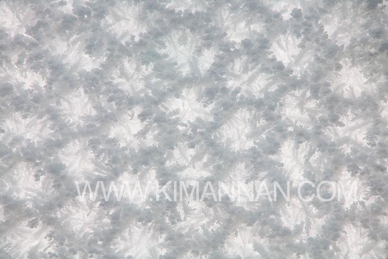 Hoar Frost on Chain Link Fence – Central Otago