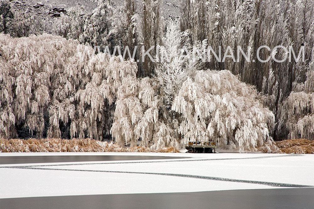 Frozen Lake at Butchers Dam – Zigzag Ice Patterns