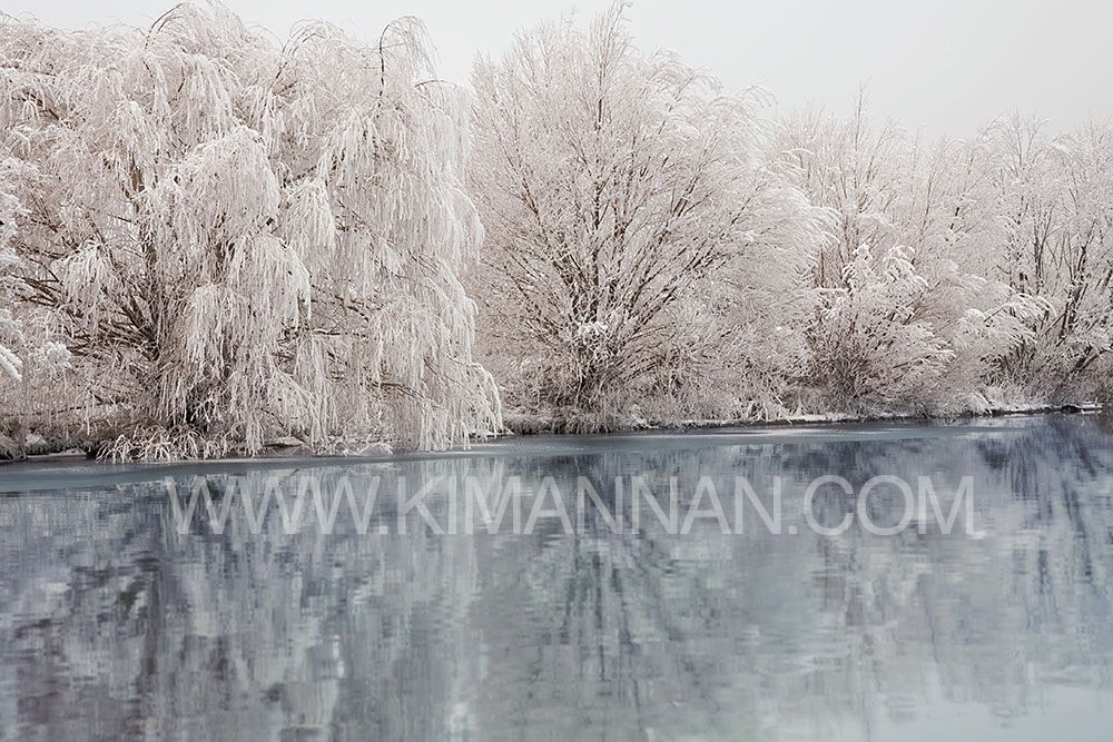 Hoar Frost on Wairepo Arm Lake near Twizel, Mackenzie Country, NZ, showcasing delicate ice crystals and serene landscapes
