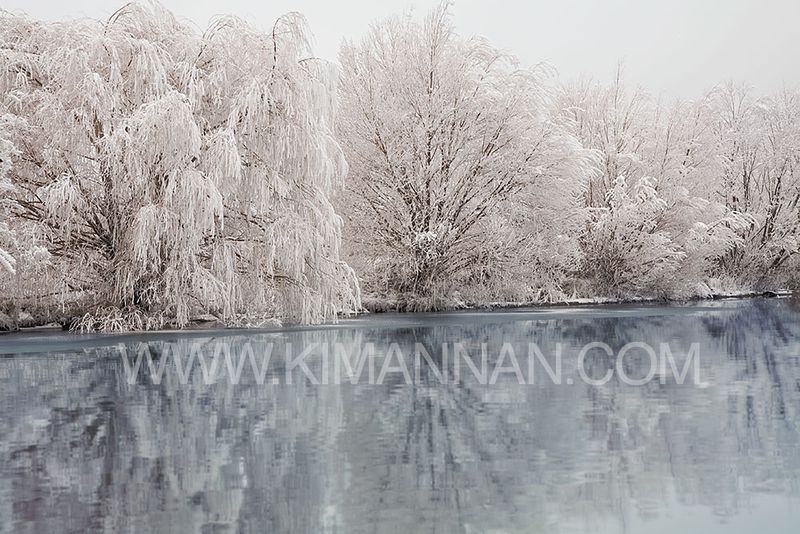Hoar Frost on Wairepo Arm Lake near Twizel, Mackenzie Country, NZ, showcasing delicate ice crystals and serene landscapes