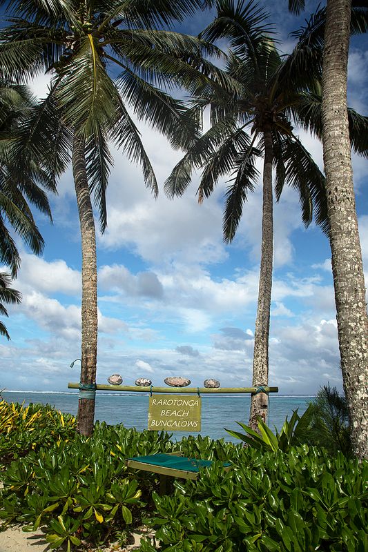 Sign saying "Rarotonga Beach Bungalows" hanging between palm trees.