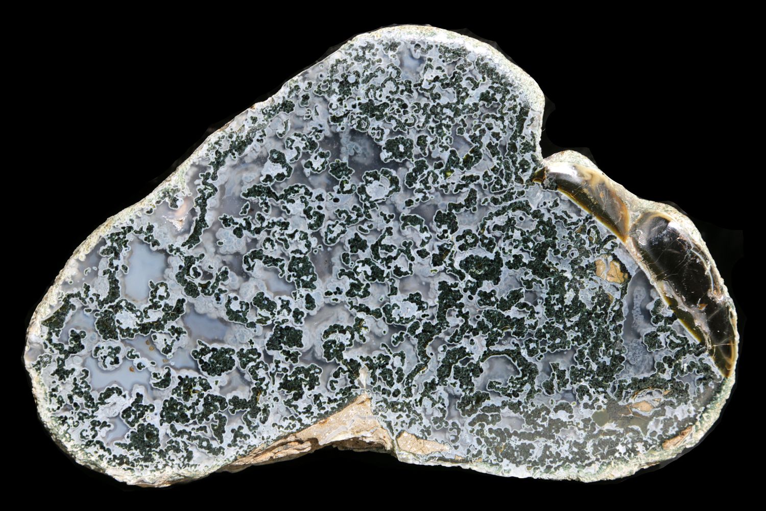 Dense green moss agate with fortification