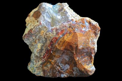Jasper Agate.  Dense Moss.  (Jasper and Agate joined in the same rock)