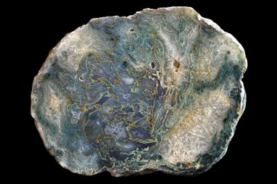 Multi Centred Fortification Moss Agate.  Crystal Centres around the outside of the Agate  (1.98 kg)