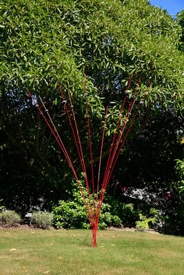 Windsticks 10 x 2m Red with stones
Kinetic Wind Sculpture &amp; Bird Feeder