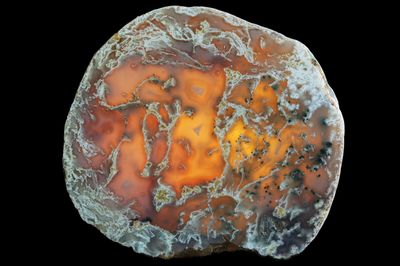 Moss Agate with Dendrite. This slab and has translucency