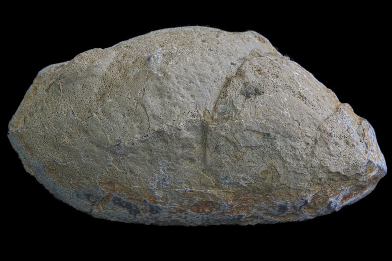 Blue/Grey white centered Agate with concentric lines (1.19 kg)