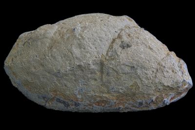 For Alex Brown - Blue/Grey white centered Agate with concentric lines (1.19 kg)