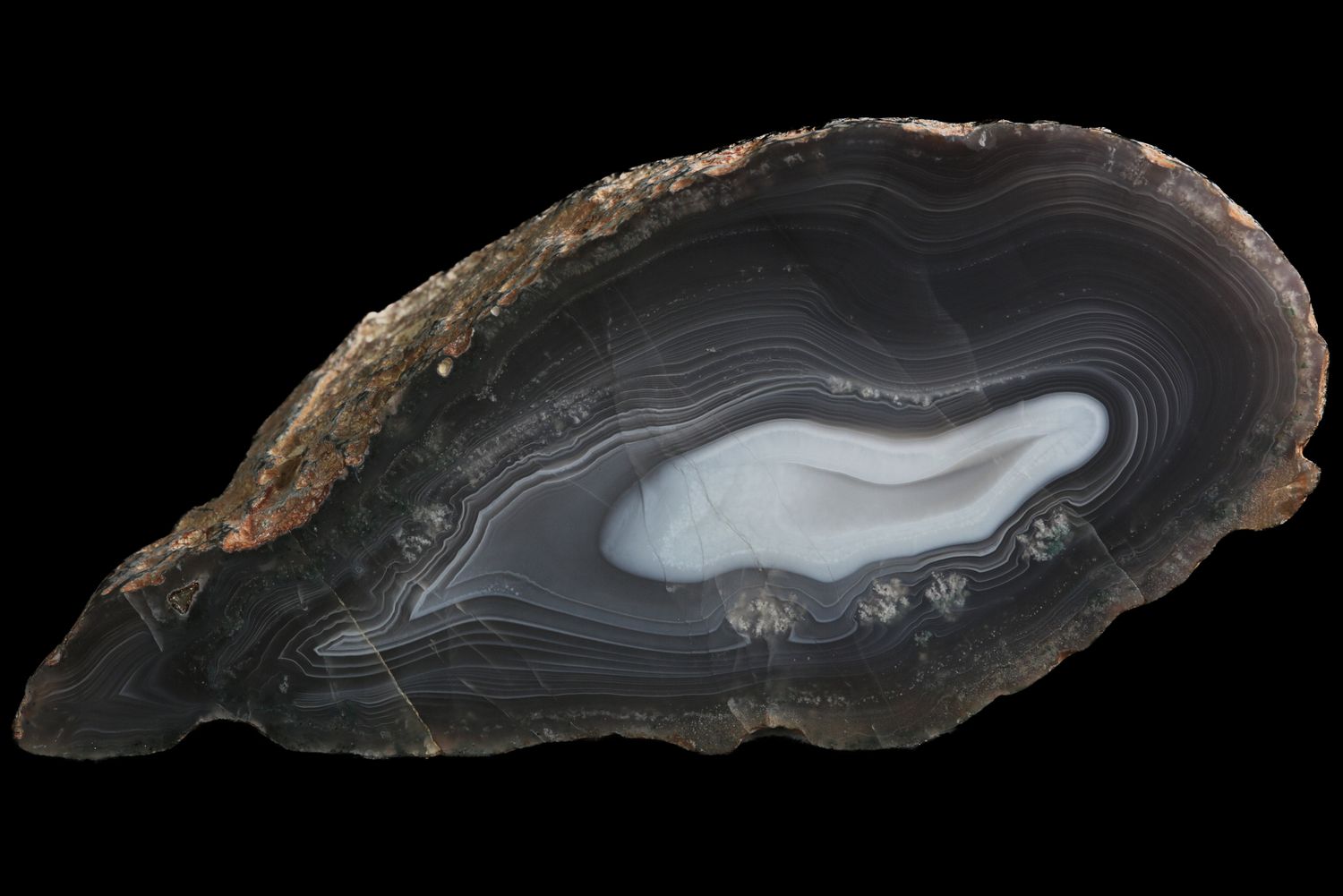 For Alex Brown - Fortification Agate with "sprites" of mineral inclusions.  Strong Parallax (when you tilt the agate the lines appear to move)