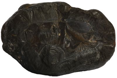 For Alex Brown - RARE Black Agate with fortification patterning and a banded white centre​