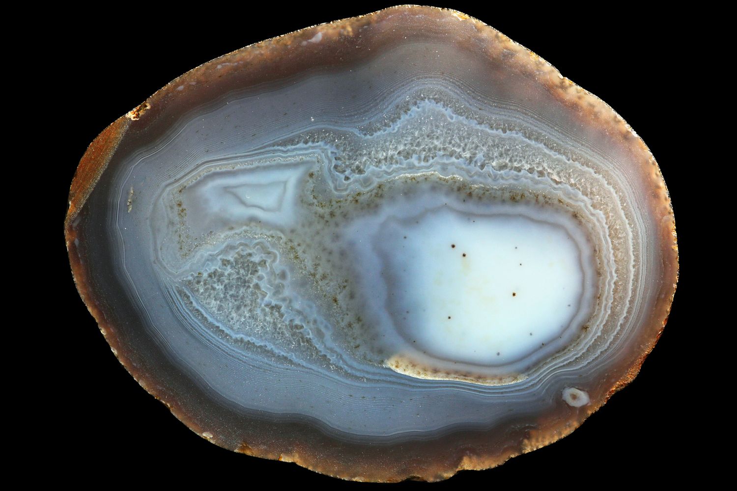 Agate with Fortification around the edge and a milky white centre