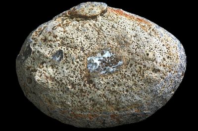 Agate with Fortification around the edge and a milky white centre