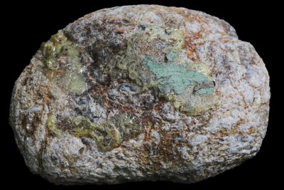 A dense brown Moss Agate