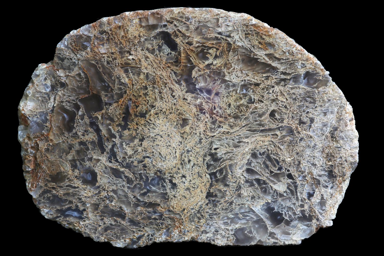 A dense brown Moss Agate