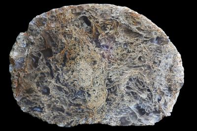 A dense brown Moss Agate