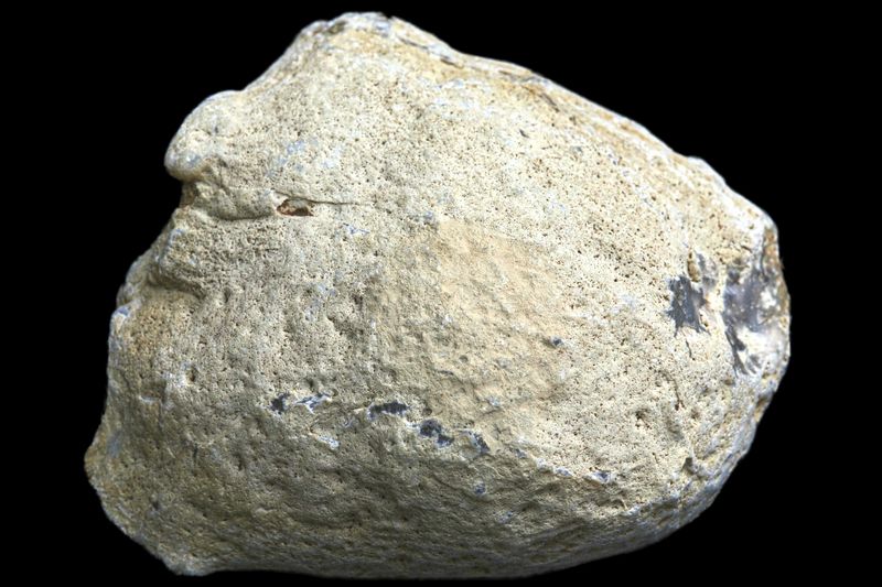 Blue grey Agate, milky white centre &amp; mossy inclusions resembling Bulls Eyes