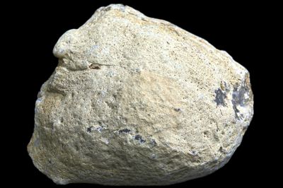 Blue grey Agate, milky white centre & mossy inclusions resembling Bulls Eyes