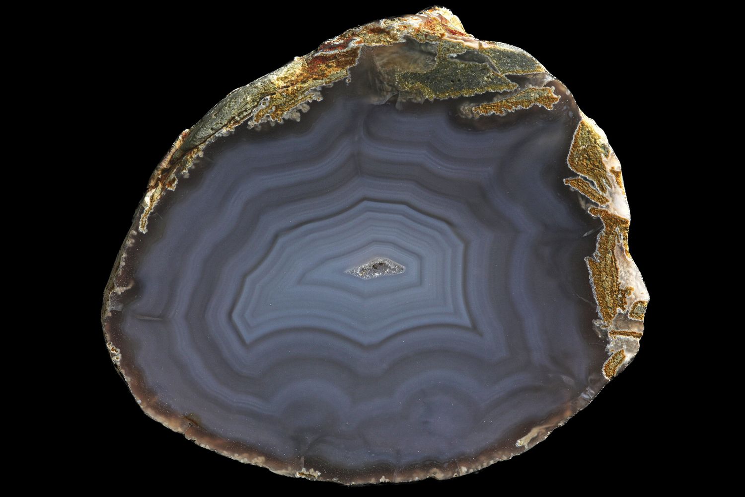 Flawless Concentric Fortification Agate