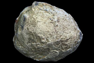 Flawless Concentric Fortification Agate