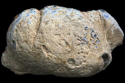 Fortification Agate with a bulls eye & mossy inclusions & small Crystal Geode in the centre