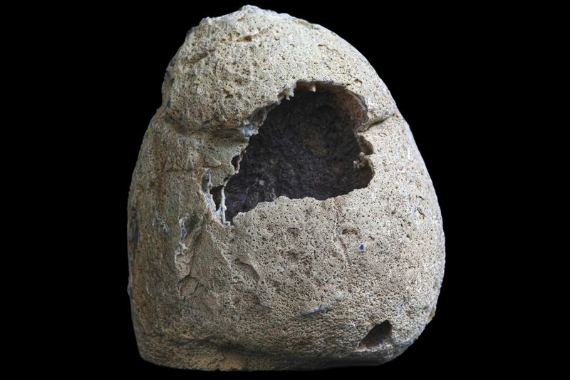 Fortification Agate, Mossy Plume down one side (1.27kg)
