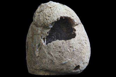 Fortification Agate, Mossy Plume down one side (1.27kg)