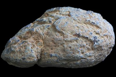 Bold Fortification Agate with a white centre (1.37 kg)