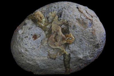 Fortified blue grey Agate, Mossy inclusions