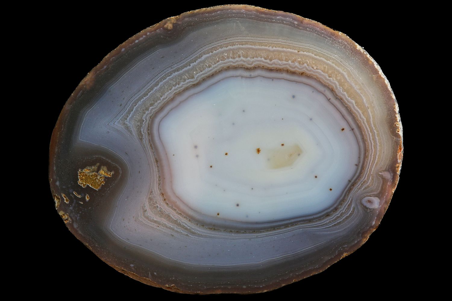 Agate with Fortification around the edge and a milky white centre