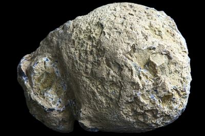 Light Fortification Agate with a milky centre, small crystal centre with mossy plumes (1 kg)