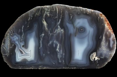 High quality Fortification Agate from New Zealand