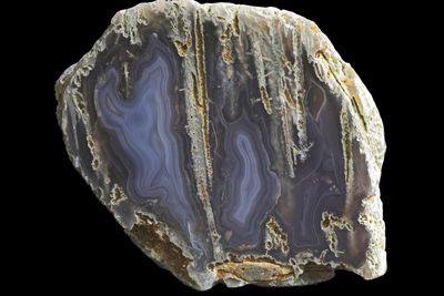 Fortification Agate with long hollow tubes of Moss hanging down from the top