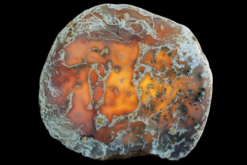 Moss Agate with Dendrite Photograph