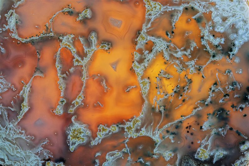 Moss Agate with Dendrite (close up) Photograph