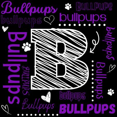 Baldwin Bullpups Typography