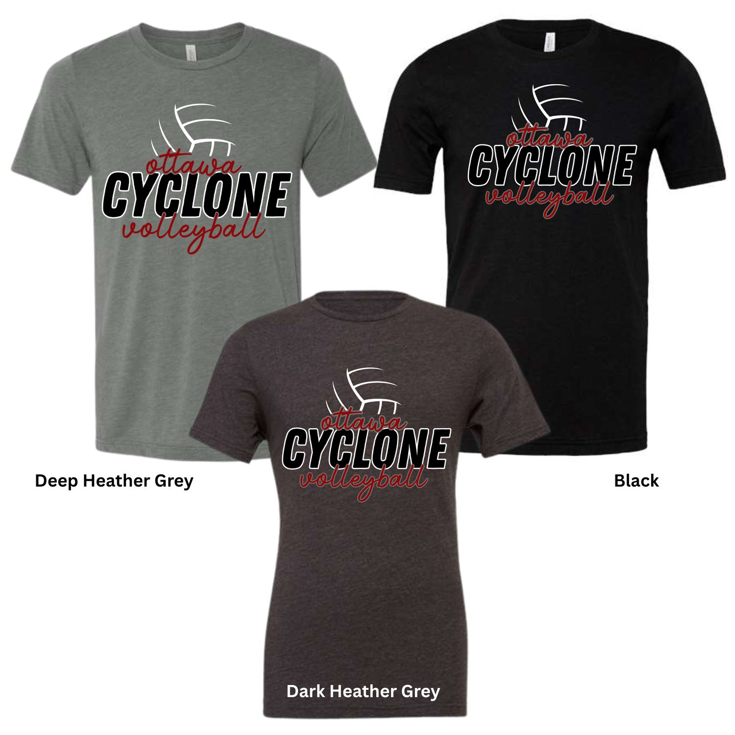 Ottawa Cyclone Volleyball