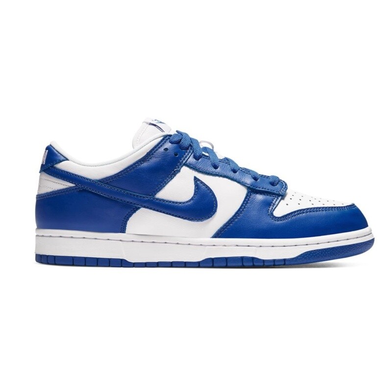 Nike Dunk low Blue