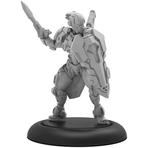Paladin Commander - Warcaster Iron Star Alliance Solo