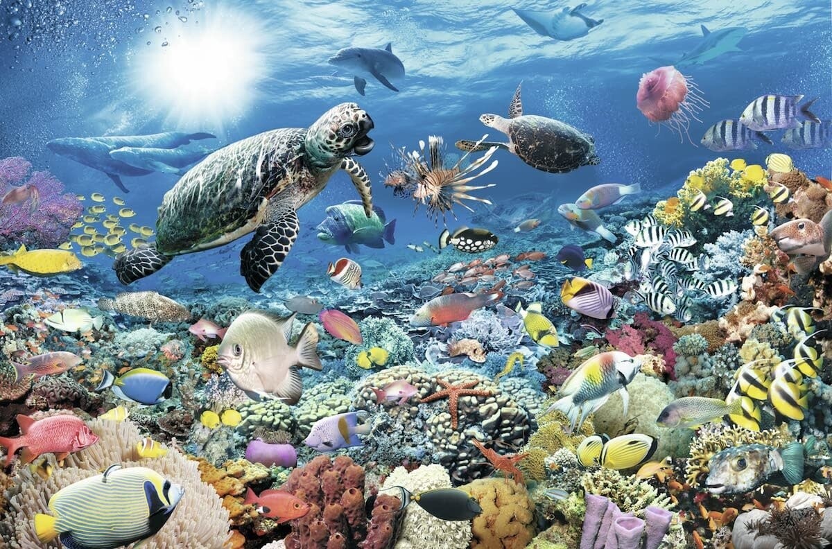 Puzzle: Beneath the Sea (5000 Piece) - Ravensburger
