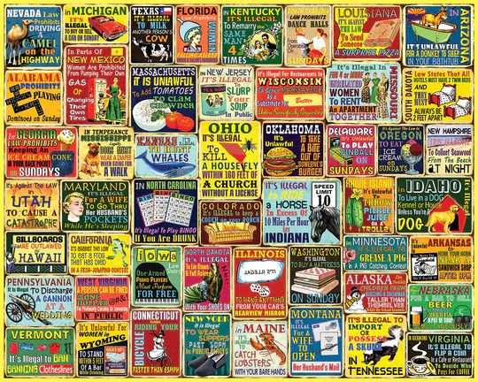 White Mountain Puzzles: Crazy State Laws (1000 Piece Jigsaw)