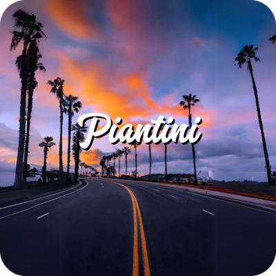 Piantini