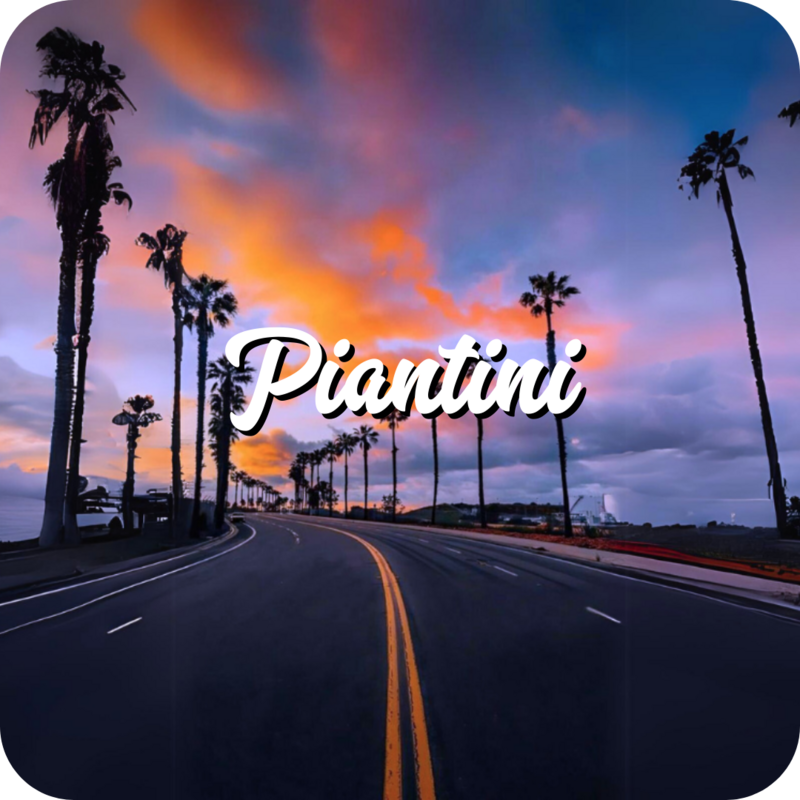 Piantini