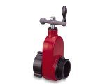 Protek 596 2-1/2 Gate Valve