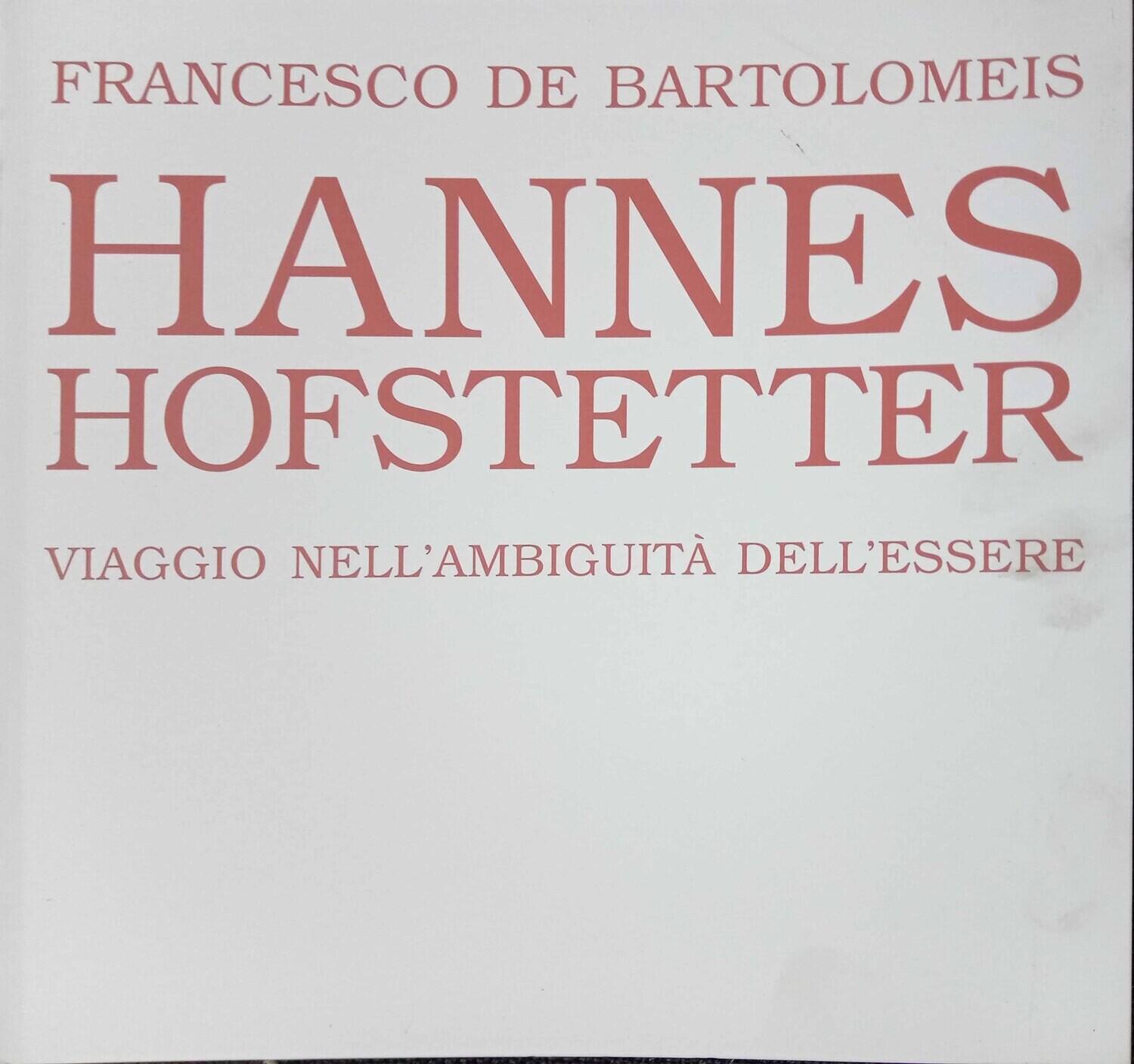 Katalog Hannes Hofstetter  VIAGGIO NELL&#39;AMBIGUITA DELL&#39;ESSERE
