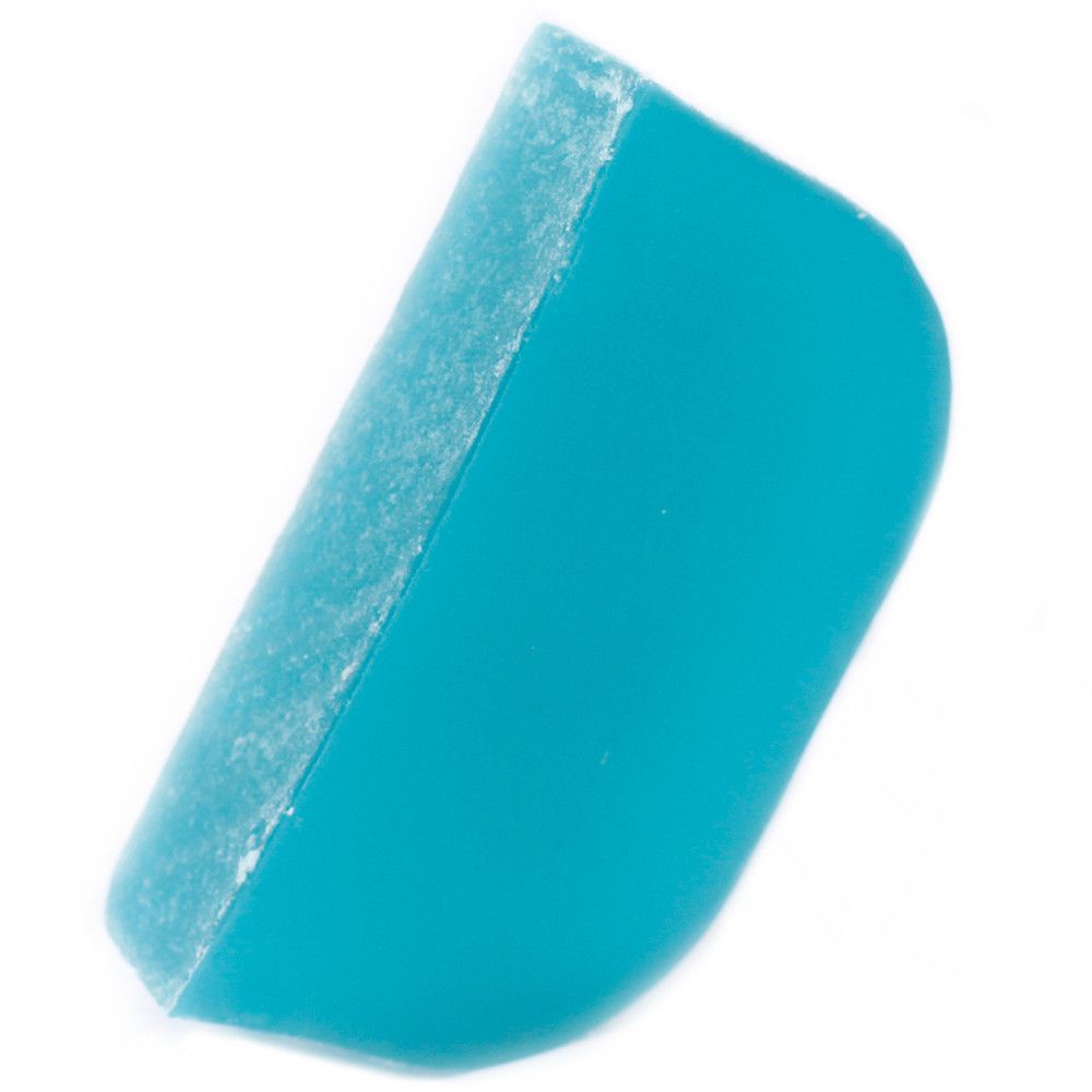 Solid Shampoo with Argan Base 100g - Tea Tree and Peppermint