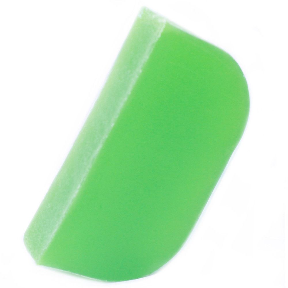 Solid Shampoo with Argan Base 100g - Thyme and Mint