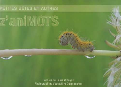 Petites bêtes et autres Z'aniMOTS